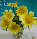 : http://fry.no.coocan.jp/blogn/pic/sgs.bmp