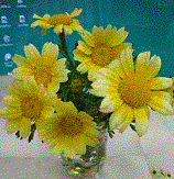 : http://fry.no.coocan.jp/blogn/pic/sgs.GIF