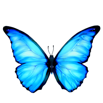: http://fry.no.coocan.jp/blogn/pic/bs.gif