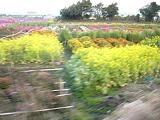: http://fry.no.coocan.jp/blogn/pic/boso1.jpg