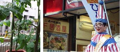 : http://fry.no.coocan.jp/blogn/pic/kuidaorex.PNG