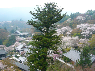 : http://fry.no.coocan.jp/blogn/pic/hase2.PNG