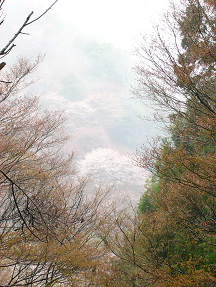 : http://fry.no.coocan.jp/blogn/pic/yoshino3.PNG