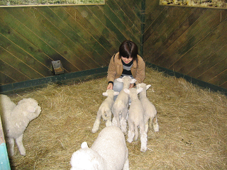 : http://fry.no.coocan.jp/blogn/pic/sheep.PNG