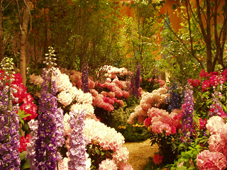 : http://fry.no.coocan.jp/blogn/pic/hana1.png