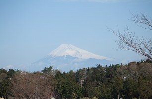 : http://fry.no.coocan.jp/blogn/pic/syz1.PNG