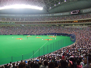 : http://fry.no.coocan.jp/blogn/pic/nagoyadomein.PNG