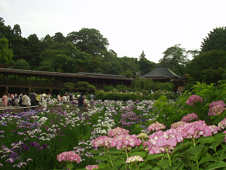 : http://fry.no.coocan.jp/blogn/pic/honndoji2.PNG
