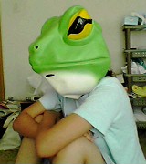 : http://fry.no.coocan.jp/blogn/pic/kaeru.jpg