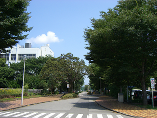 : http://fry.no.coocan.jp/blogn/pic/natsu1.PNG