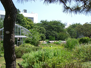 : http://fry.no.coocan.jp/blogn/pic/natsu2.PNG
