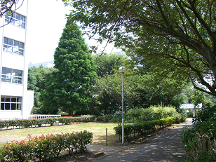 : http://fry.no.coocan.jp/blogn/pic/natsu3.PNG