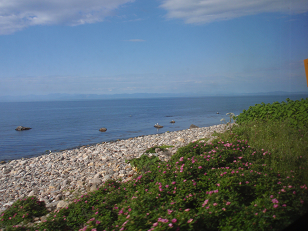 : http://fry.no.coocan.jp/blogn/pic/otaru4.PNG