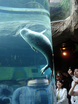 : http://fry.no.coocan.jp/blogn/pic/asahiyama1.PNG