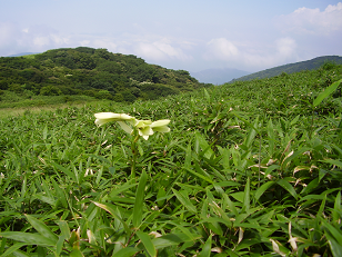 : http://fry.no.coocan.jp/blogn/pic/hakone2.PNG