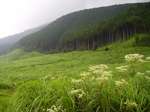 : http://fry.no.coocan.jp/blogn/pic/hakone3.PNG