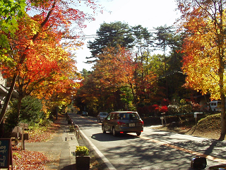 : http://fry.no.coocan.jp/blogn/pic/karuizawa1.PNG