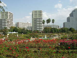 : http://fry.no.coocan.jp/blogn/pic/barayatu.png