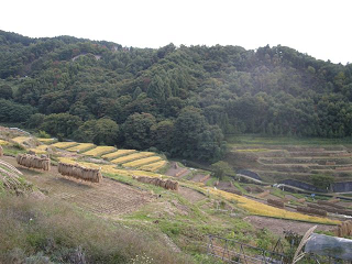 : http://fry.no.coocan.jp/blogn/pic/syuukaku2.PNG