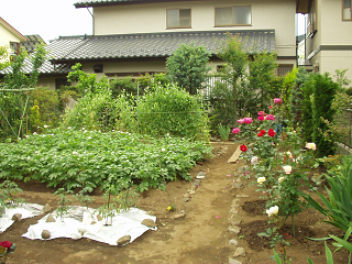 : http://fry.no.coocan.jp/blogn/pic/kateisaien.PNG