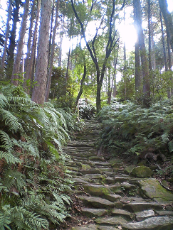 : http://fry.no.coocan.jp/blogn/pic/kumano3x.PNG