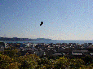 http://fry.no.coocan.jp/WordPress/wp-content/uploads/2009/01/hase1-300x225.png