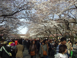 http://web.archive.org/web/20100510131051im_/http:/fry.no.coocan.jp/WordPress/wp-content/uploads/2009/03/ueno1-300x225.png