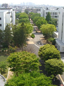 http://fry.no.coocan.jp/WordPress/wp-content/uploads/2009/05/midori.png