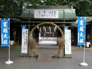 http://web.archive.org/web/20100510131325im_/http:/fry.no.coocan.jp/WordPress/wp-content/uploads/2009/06/nagosi1-300x225.png