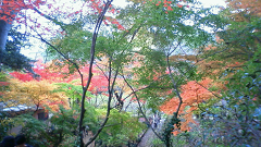 http://web.archive.org/web/20100510130001im_/http:/fry.no.coocan.jp/WordPress/wp-content/uploads/2009/11/hon4.png