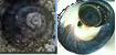 http://web.archive.org/web/20100510131330im_/http:/fry.no.coocan.jp/WordPress/wp-content/uploads/2009/12/kai.png