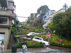 http://fry.no.coocan.jp/WordPress/wp-content/uploads/2009/12/hana1.png