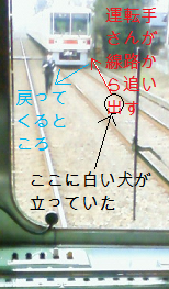 http://fry.no.coocan.jp/WordPress/wp-content/uploads/2010/01/dog.png