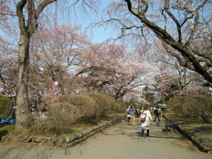 http://web.archive.org/web/20100510131312im_/http:/fry.no.coocan.jp/WordPress/wp-content/uploads/2010/04/mi1-300x225.png