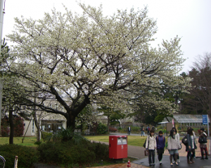 http://fry.no.coocan.jp/WordPress/wp-content/uploads/2010/04/oos-300x238.png