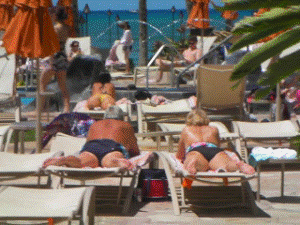 http://fry.no.coocan.jp/WordPress/wp-content/uploads/2010/07/h22-300x225.png
