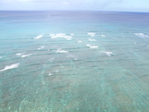 http://fry.no.coocan.jp/WordPress/wp-content/uploads/2010/07/h4-300x225.png