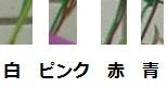 http://fry.no.coocan.jp/WordPress/wp-content/uploads/2010/09/as.png