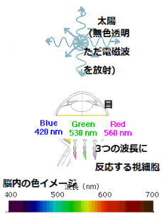 http://fry.no.coocan.jp/WordPress/wp-content/uploads/2010/12/eye1-228x300.png