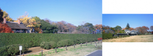 http://fry.no.coocan.jp/WordPress/wp-content/uploads/2010/12/y0-300x111.png