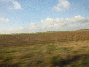 http://fry.no.coocan.jp/WordPress/wp-content/uploads/2011/01/ly4-300x225.png