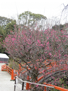 : http://fry.no.coocan.jp/WordPress/wp-content/uploads/2011/03/kamo-224x300.png