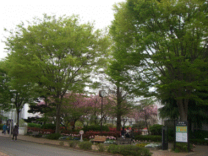 http://fry.no.coocan.jp/WordPress/wp-content/uploads/2011/04/k5-300x225.png