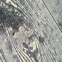 http://fry.no.coocan.jp/WordPress/wp-content/uploads/2011/04/yu1.png