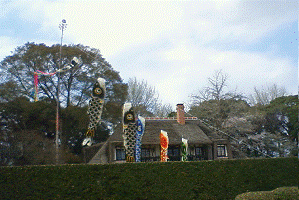 http://fry.no.coocan.jp/WordPress/wp-content/uploads/2011/04/koi1.png