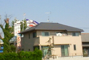 http://fry.no.coocan.jp/WordPress/wp-content/uploads/2011/04/koi2.png
