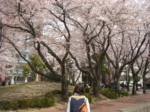 http://fry.no.coocan.jp/WordPress/wp-content/uploads/2011/04/mi1-300x225.png