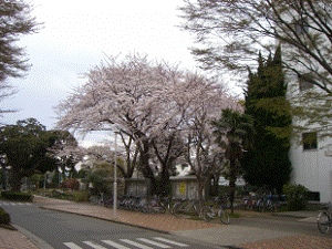 http://fry.no.coocan.jp/WordPress/wp-content/uploads/2011/04/sa11-300x225.png