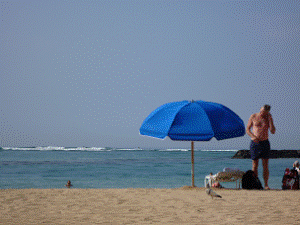 http://fry.no.coocan.jp/WordPress/wp-content/uploads/2011/05/hama2-300x225.png