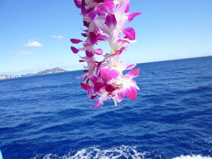 http://fry.no.coocan.jp/WordPress/wp-content/uploads/2011/05/efbd904-300x225.png